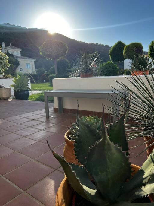 Ruim Appartement, Zonnig Terras, Alhaurin Golf! Alhaurín el Grande Exteriér fotografie